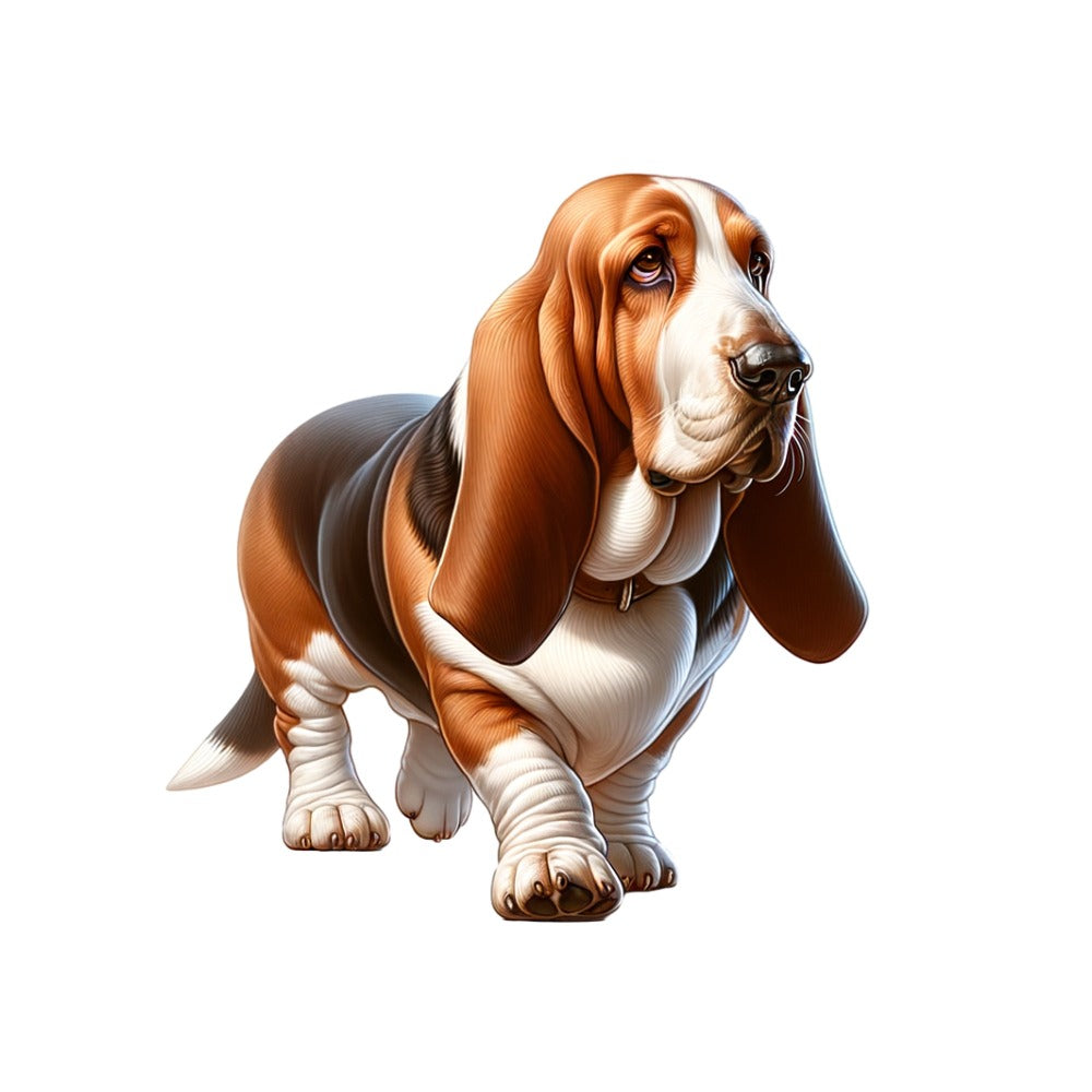 Basset hound color jpeg file