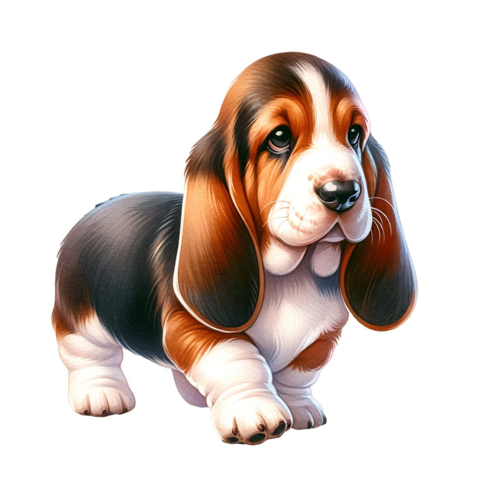 Basset hound puppy jpeg file