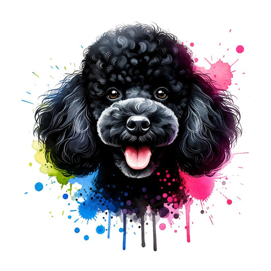 Black poodle color jpg file