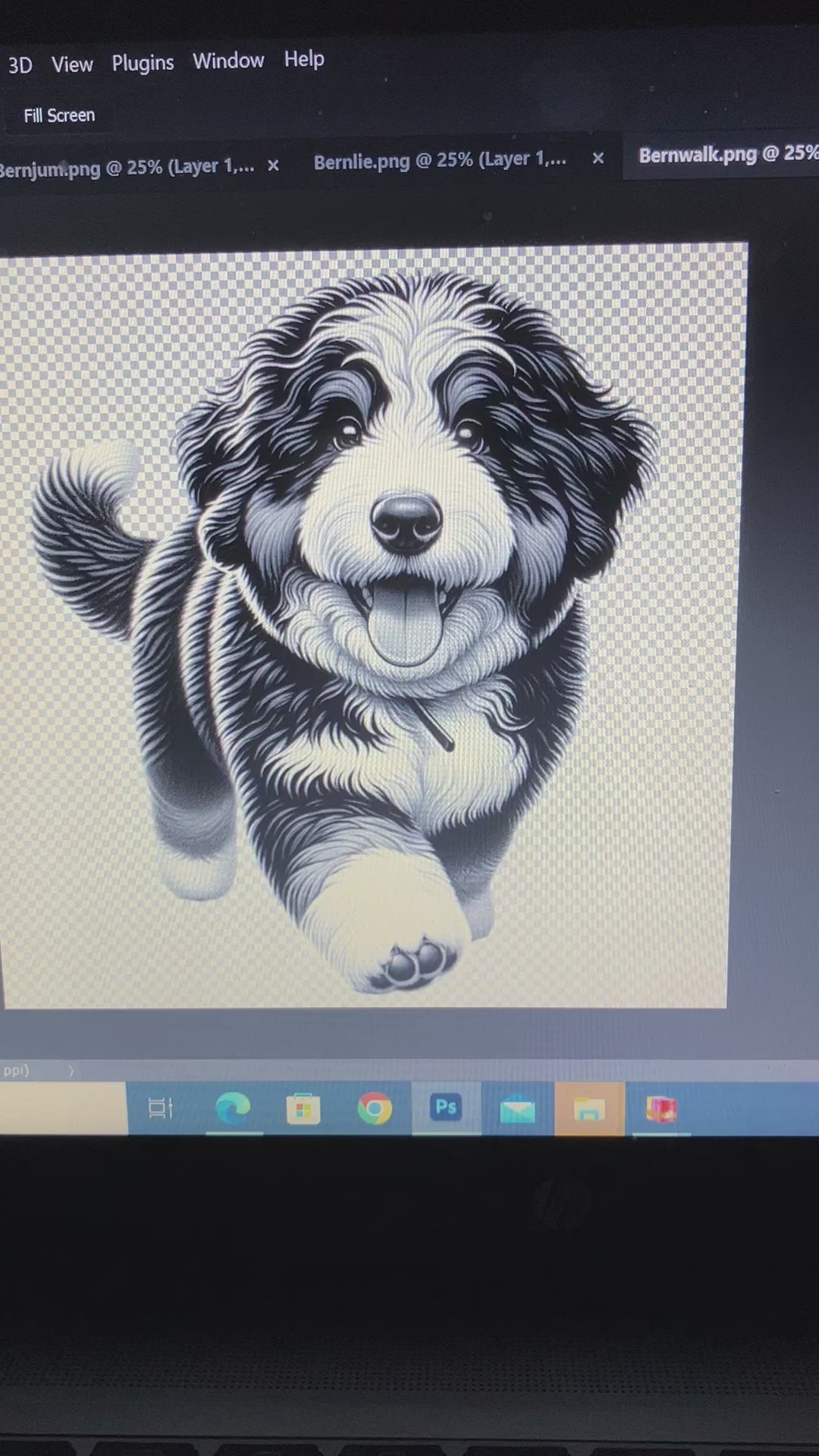 Bernedoodle video file