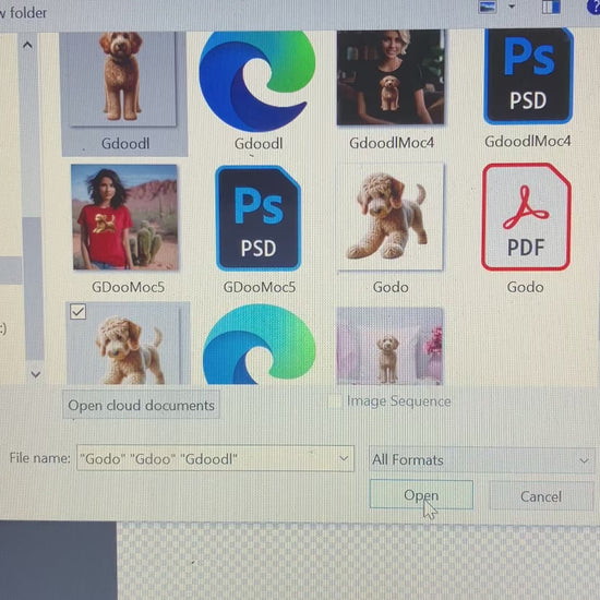 Golden doodle video file